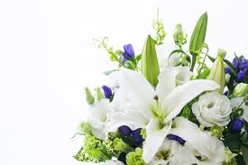 Matthew Bishop, Death: Grand Island, Nebraska - Has Sadly Died